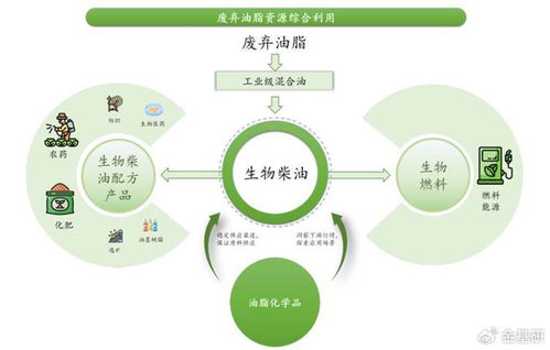 豐倍生物 技術創新驅動綠色全產業鏈，生物柴油市占率領先