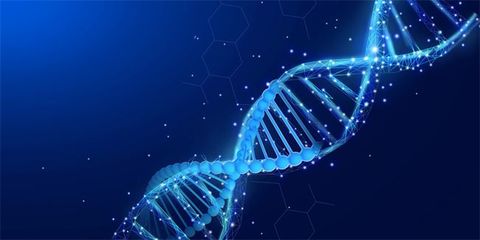 細胞與微生物的偶遇 DNA何時光被悄然讀取