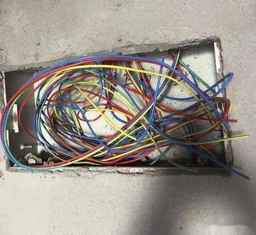 安全第一 為何多回路嚴禁共用一條地線？